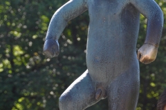 DSC_0342